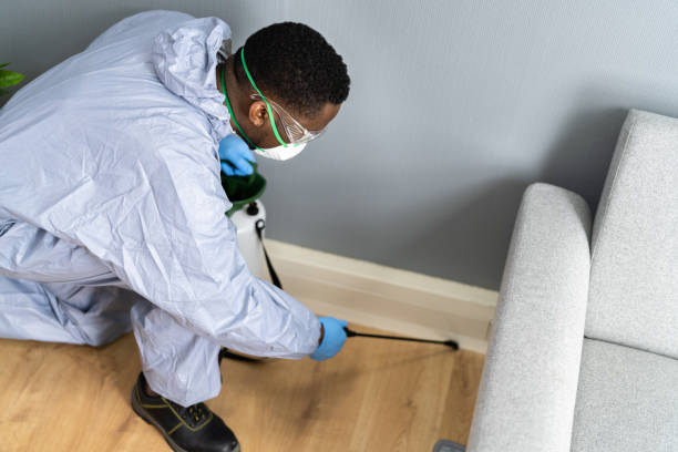 Best Pest Exclusion Services  in Grandview, IL